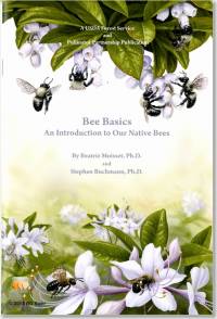 Bee Basics: An Introduction to Our Native Bees (Pamphlet)