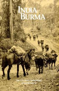 India-Burma: The Campaigns of World War II