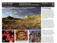 Carlsbad Caverns Guadalupe Mountains National Visitor Guide, Spring/Summer 2018