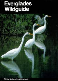 Everglades Wildguide: The Natural History of Everglades National Park, Florida