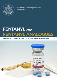 Fentanyl And Fentanyl Analogues Federal Trends and Trafficking Patterns