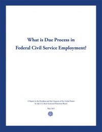 What is Due Process in the Federal Civil Service Employment?