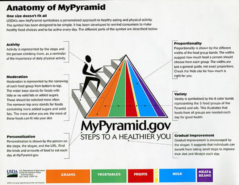Anatomy of MyPyramid (Paper Sheet)