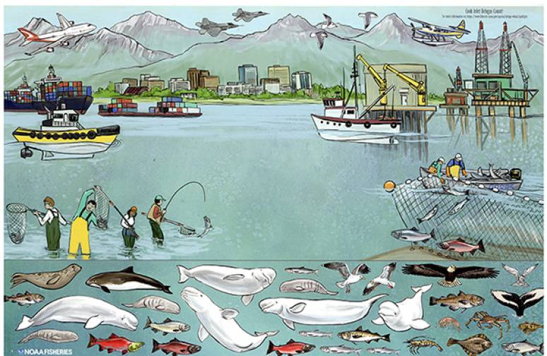 Cook Inlet Belugas Count (Poster Sticker Sheet)