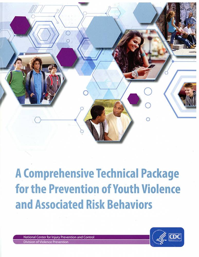 A Comprehensive Technical Package for the Preventive of Youth Violence and Associated Risk Behaviors