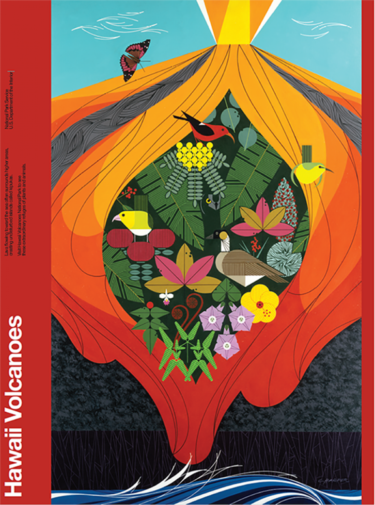 Fruit & Vegetables Scientific Illustration Museum Print – Cognitive Surplus
