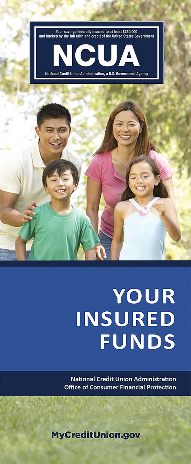 Your Insured Funds Brochure (English)